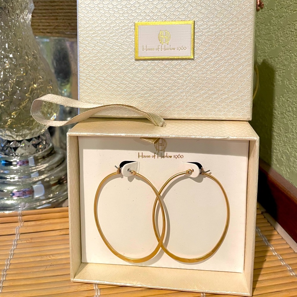 Hoop Earings